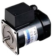 AC INDUCTION GEARMOTOR